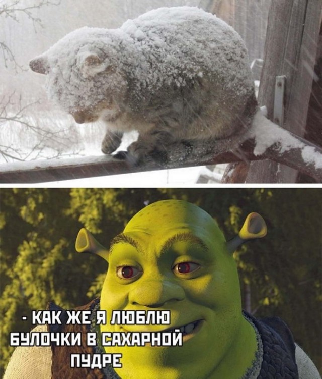 Всяческие картинки 24.12.2021
