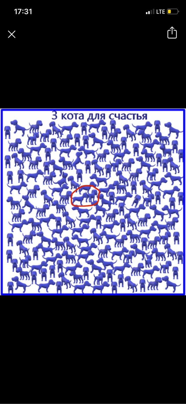 Пусть глазки отдохнут