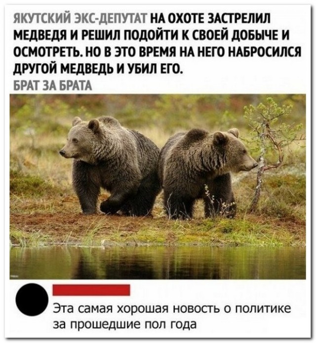 Забавные комментарии из социальных сетей 23.05.22