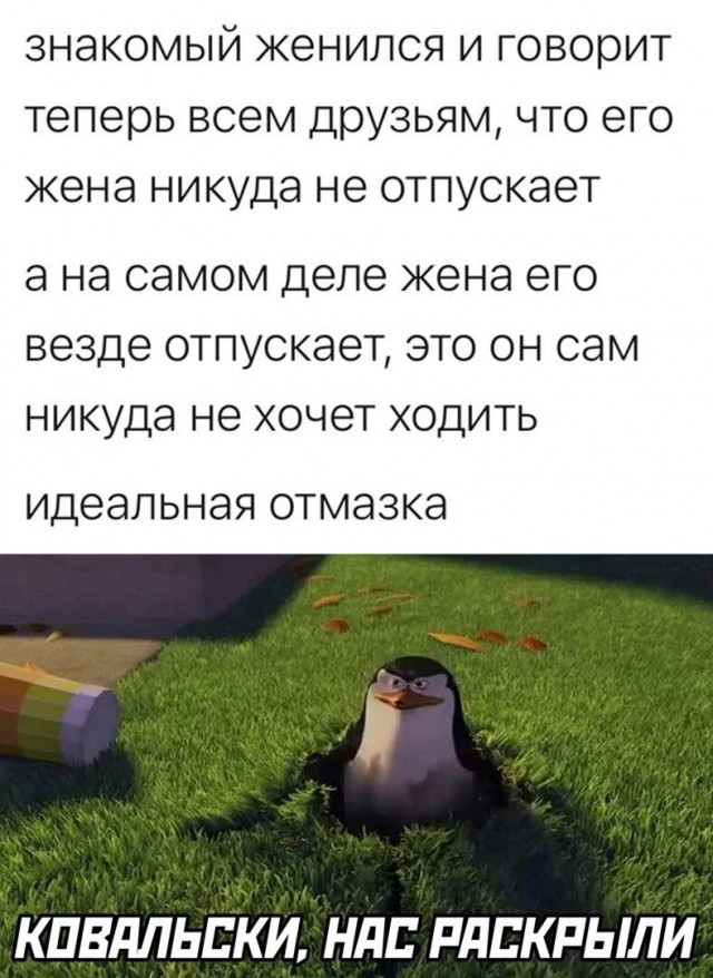 Юмор в картинках и без