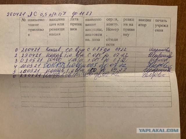 Россиянин застрелил женщину за выгул собаки без намордника