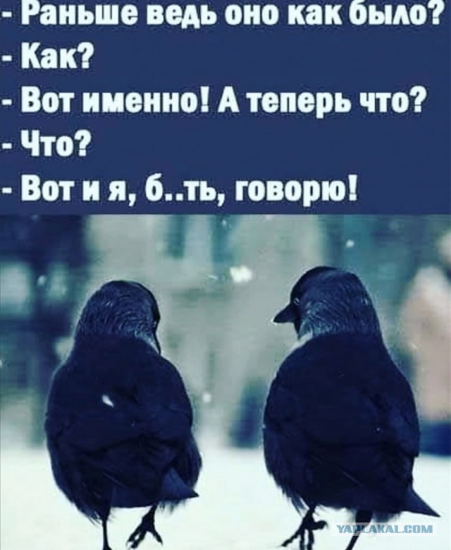 "Меня зовут Арлекино": суть женщин не меняется  в любые времена