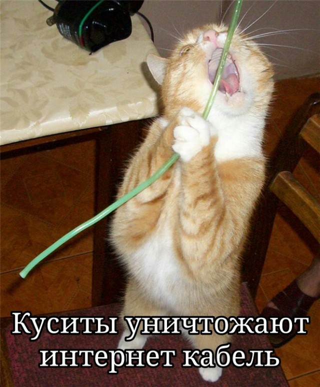 Получены документальные подтверждения того как хуситы резали кабеля⁠⁠