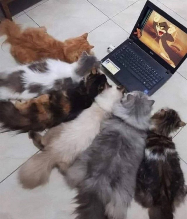 Так себе картинки 16.01.25