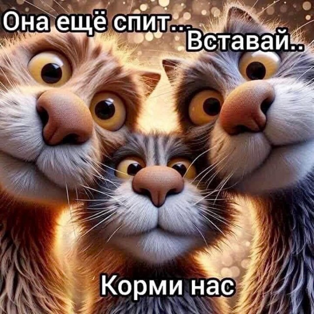 Завалялось тут случайно немного забавных картинок