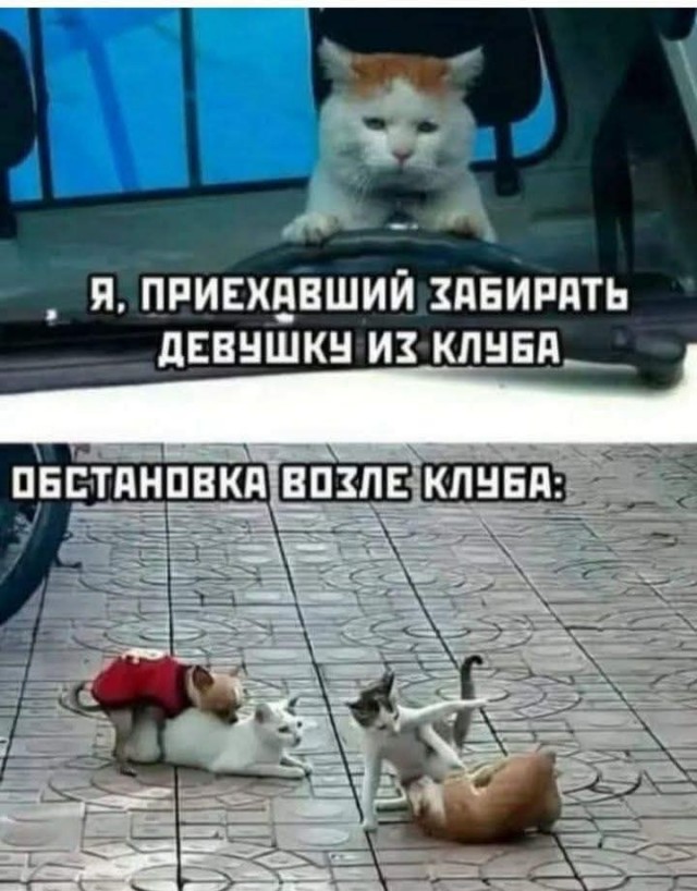 Так себе картинки 07.12.25