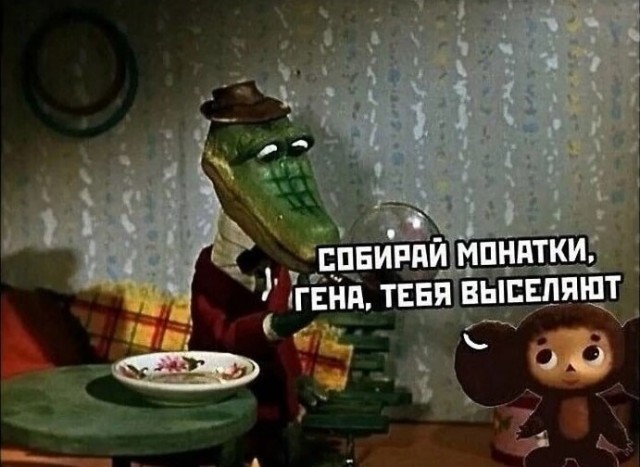 Крокодила, удава и лису выселят из квартиры пенсионерки по решению суда в Москве