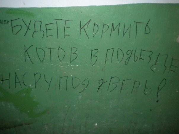 Суровые соседи!