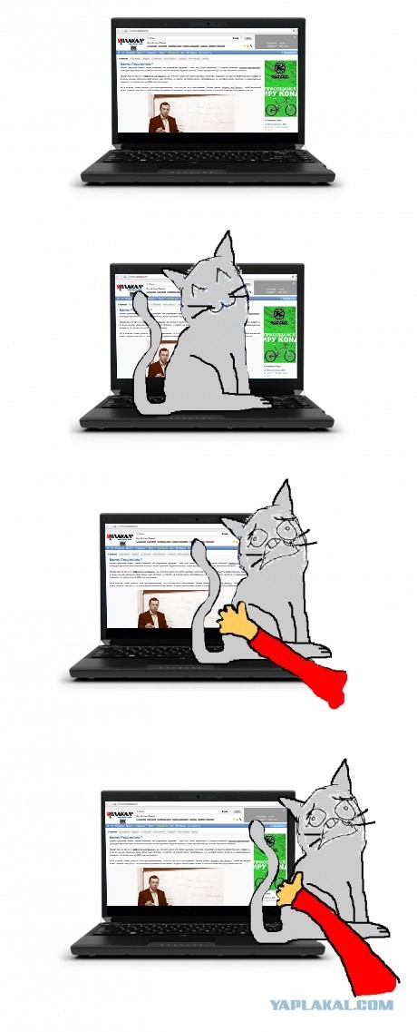 Кошка каждого ЯПовца