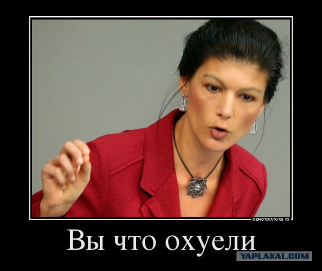 Поляки, мать вашу за ногу!