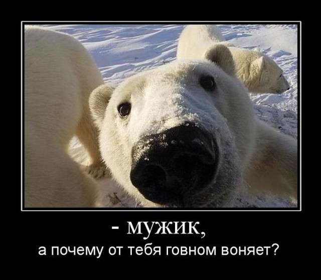 Как получаются такие фотографии