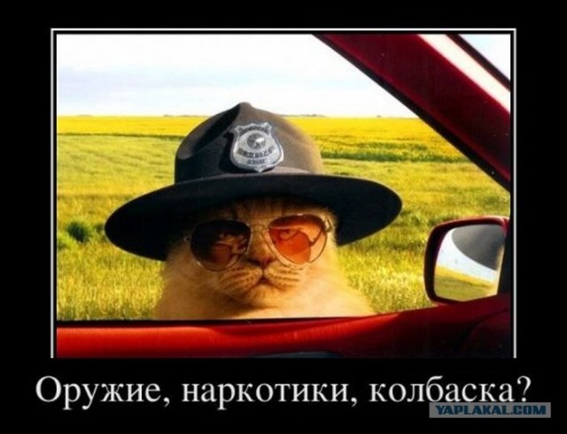 Один рабочий день ветеринара