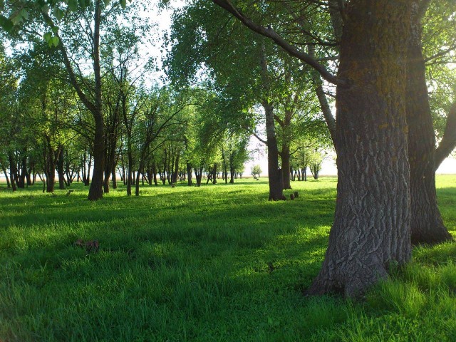 Апрель 2012