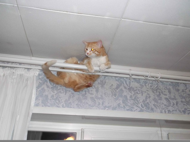 Про Тучку, которая стала Дымкой
