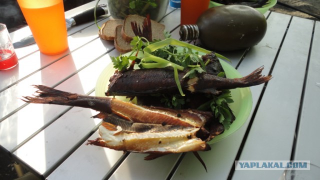 Вуокса 2015