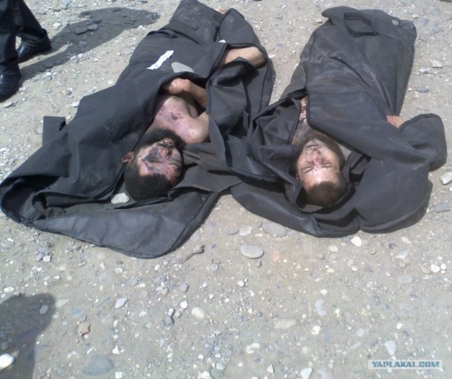 Быт террористов. Как живут имаратыши в лесу.