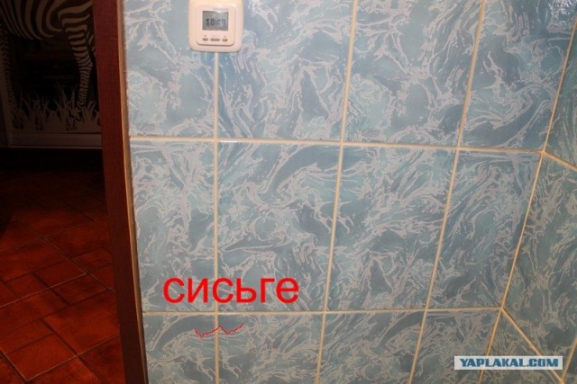 А что вы расматриваете в туалете?