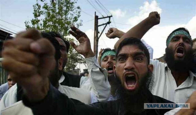 Европа - это сытый свинарник. Исповедь "свалившего" либерала