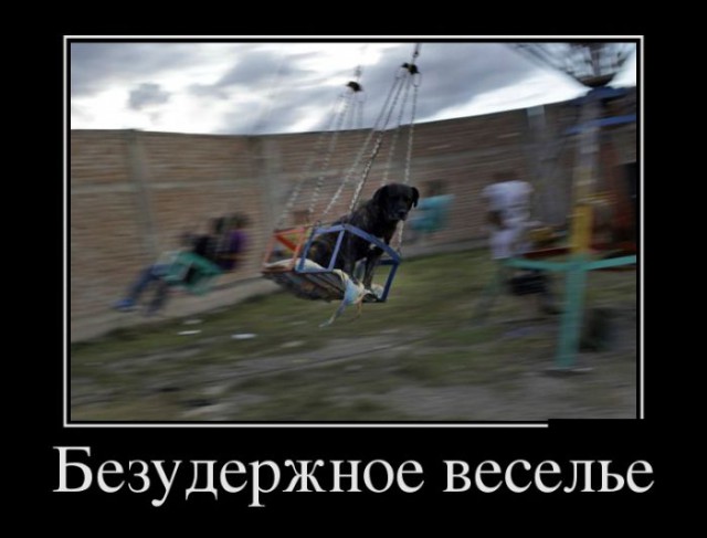 Прикольные животные