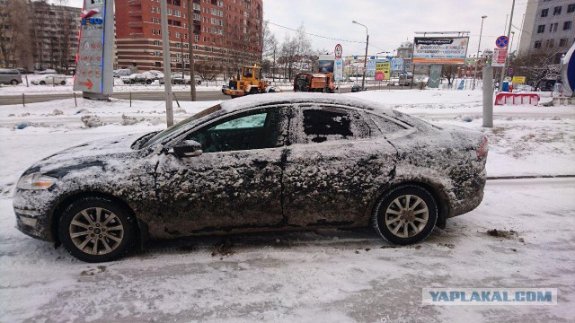 Питерская весна, будь она неладна