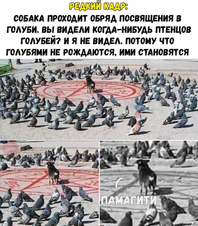 Тоже, из того самого инета