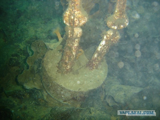 Ирма украла океан