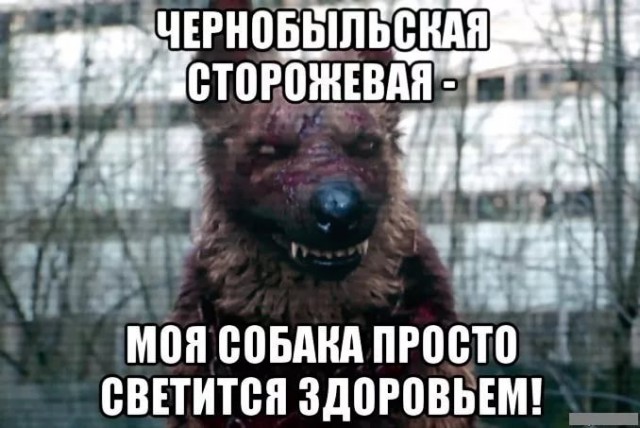 Нестандартный юмор