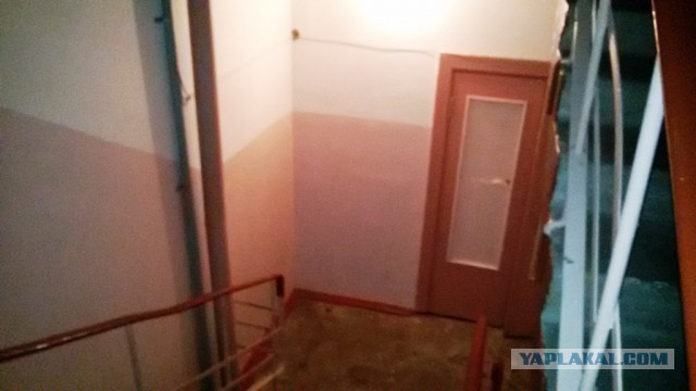 В чьем то доме поселился замечательный сосед