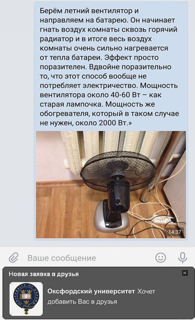 Подборка интересных и веселых картинок на выходные