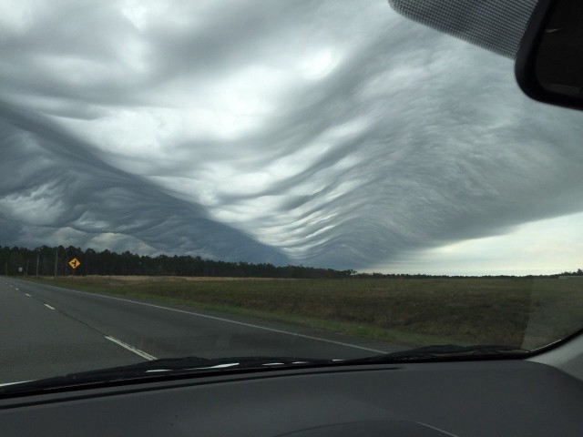 Подборка интересных и веселых картинок