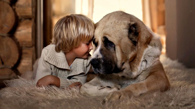 40 подтверждений, что домашние животные и дети — лучшие друзья