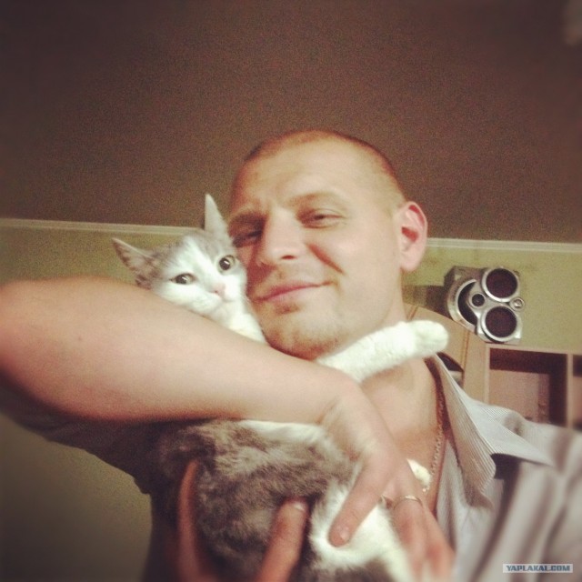 Котовторник 31.07.2012 г.