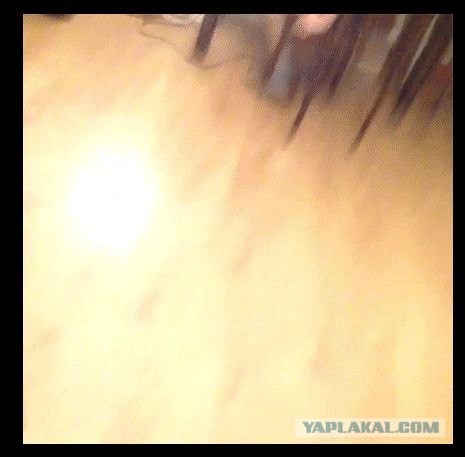 Кто в теремке - рюкзаке живет?