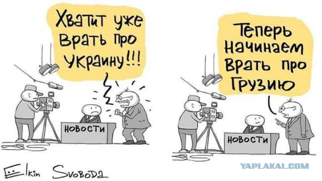 Установлена личность девушки из Тбилиси с оскорбительным плакатом в адрес России