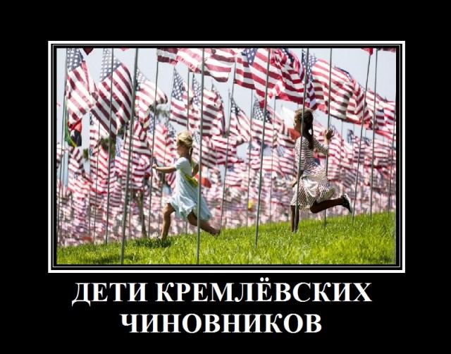 Малкин подтвердил наличие гражданства США