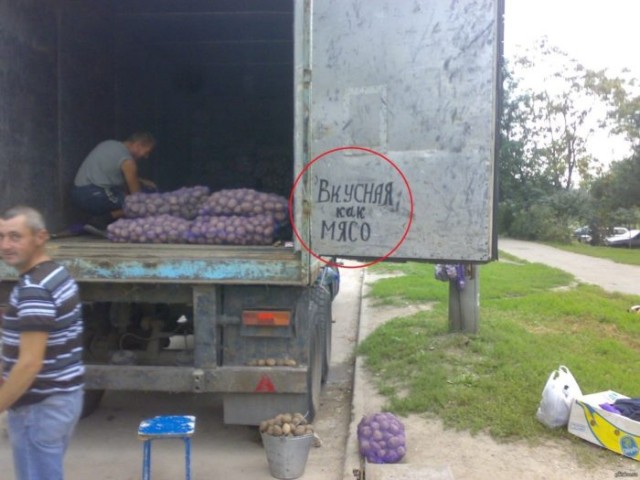 Подведём игоги