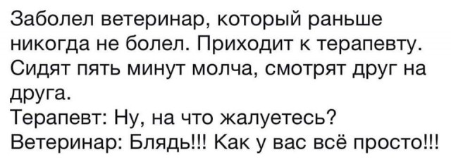 Терпеливая собака на приеме у ветеринара
