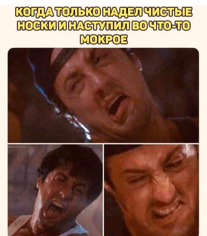 Бредзона 07.02.2020