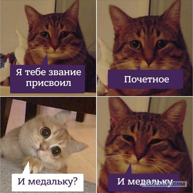 Мэр Томска наградил знаком "Меценат города" свою жену