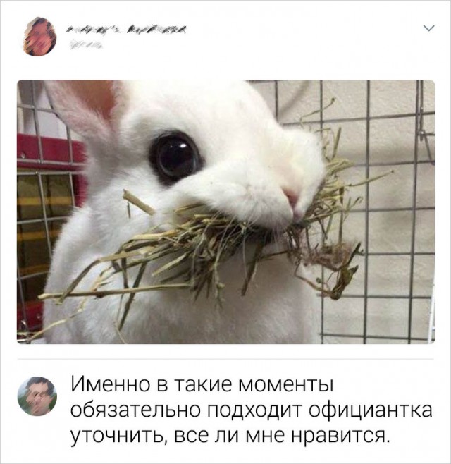 Комментарии, которые бьют прямо  яблочко