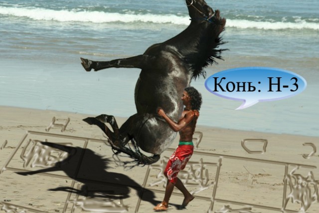 Фотожаба дня: Летающий конь