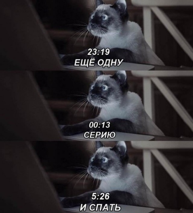 Немного картинок для настроения 17.05.20