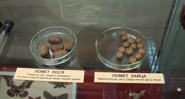 Бредзона 20.05.2020