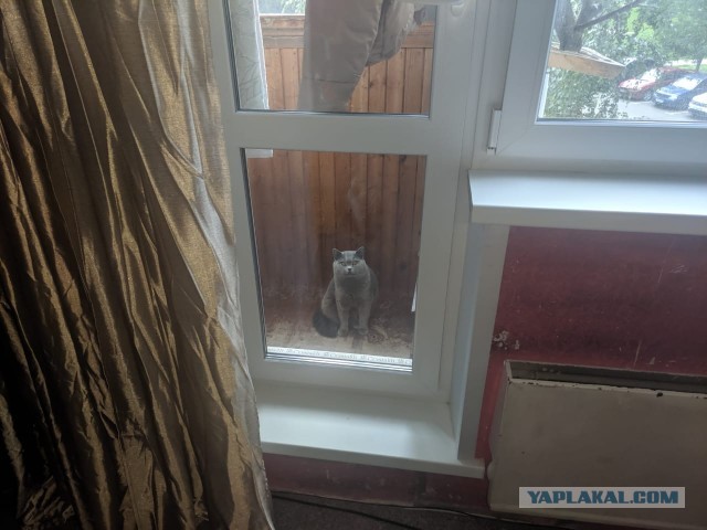 Выглядит зловеще как-то