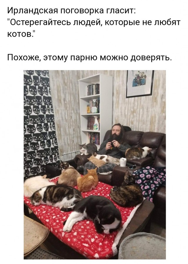 Картинки с надписями и всякие жизненные фразы