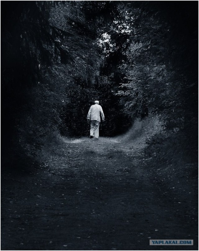 Фотохудожник Lora Palmer, 15 фото.