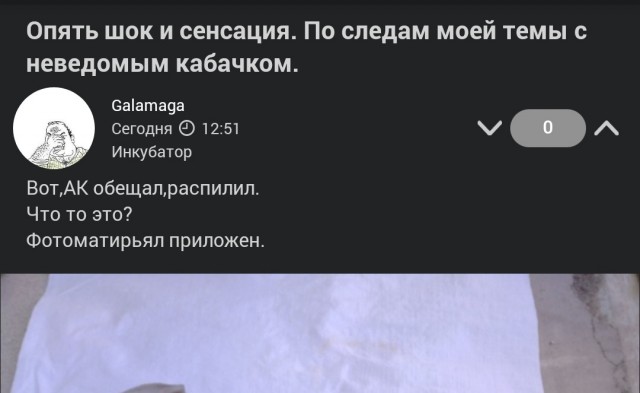 Опять шок и сенсация