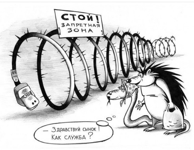 Так себе картинки 23.07.21