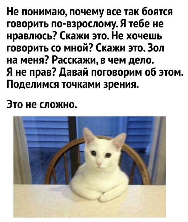 Так себе картинки 15.08.21