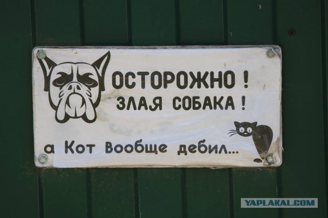 Уделали бобика
